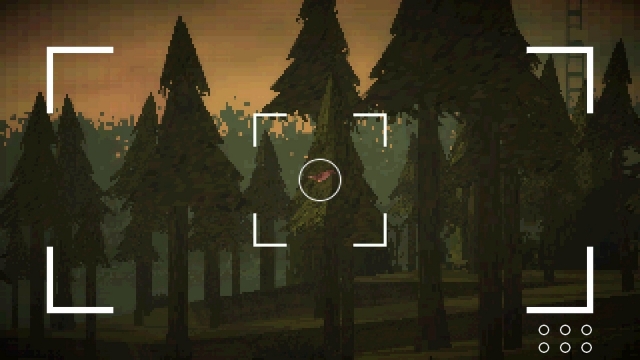 Paratopic (Switch) image
