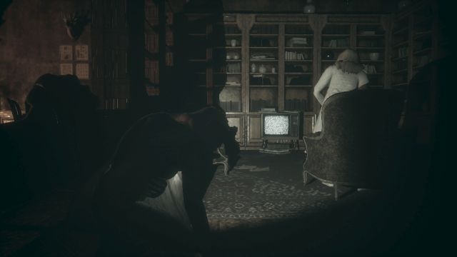 Remothered: Tormented Fathers (Switch) image