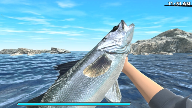 Reel Fishing: Road Trip Adventure (Switch) image