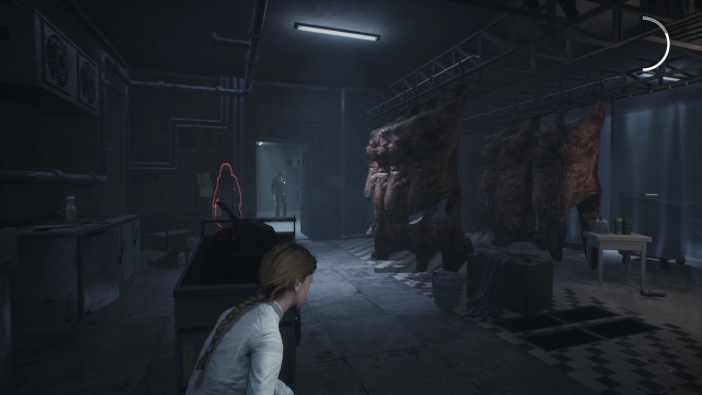 Remothered: Broken Porcelain (Switch) image