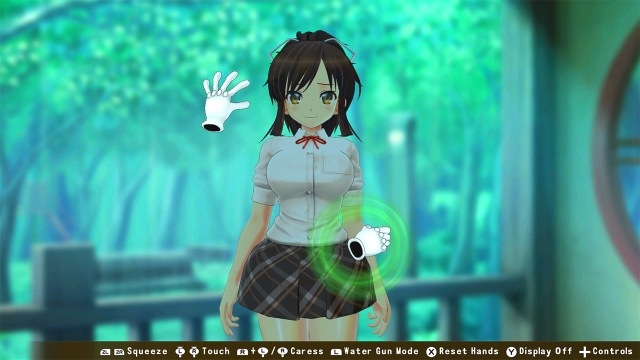 Senran Kagura Reflexions (Switch) image