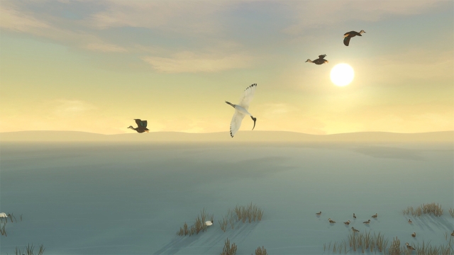 Storm Boy: The Game (Switch) image