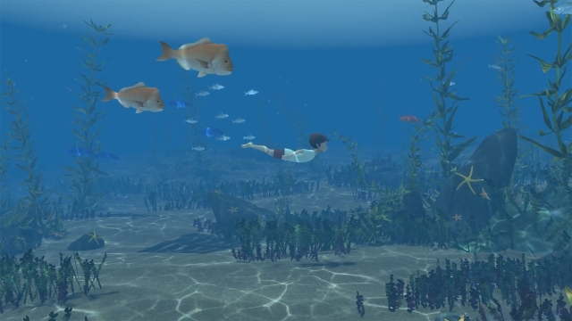 Storm Boy: The Game (Switch) image