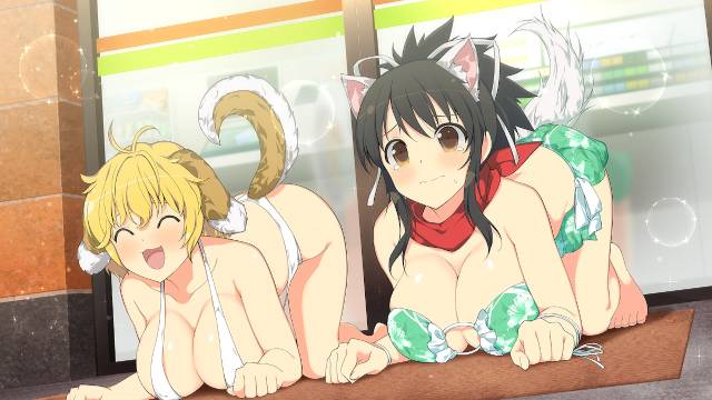 Senran Kagura: Peach Ball (Switch) image