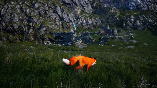 Spirit of the North (Switch) image