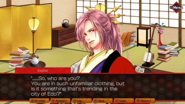 Yumemidori Nostalgia (Switch) image