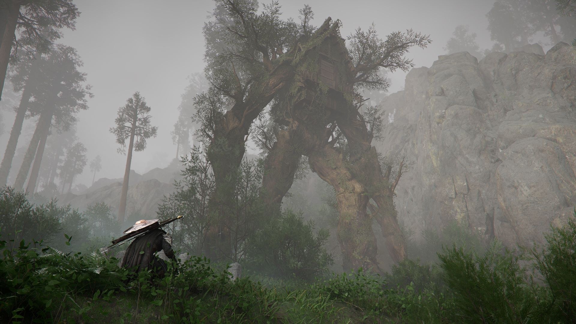 The hero crouches among ferns, looking toward a house attached to the top of a giant stone creature, with a cliff behind it.