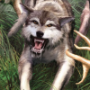 Cabela's Dangerous Hunts 2 artwork
