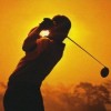 Legend of Golfer (XSX) game cover art