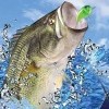 Mark Davis Pro Bass Challenge artwork