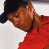 Tiger Woods PGA Tour 06 (XSX) game cover art