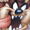 Taz: Wanted (XSX) game cover art