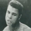Boxing Legends of the Ring artwork