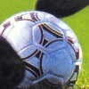 Championship Soccer '94 (XSX) game cover art