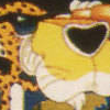 Chester Cheetah: Wild Wild Quest (XSX) game cover art