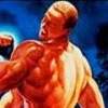 Fatal Fury Special artwork