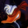 Maui Mallard in Cold Shadow (XSX) game cover art
