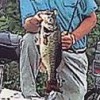 Mark Davis' The Fishing Master (XSX) game cover art