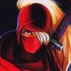 Ninja Warriors artwork