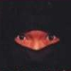 Shien's Revenge (XSX) game cover art