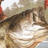 Super Black Bass (XSX) game cover art