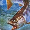 Sun Sport Fishing: Keiryuu-Ou (XSX) game cover art