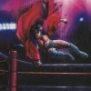 Super Fire ProWrestling Special (XSX) game cover art