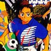 Super Formation Soccer '94: World Cup Final Data artwork