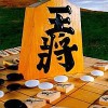 Super Gomoku Shogi artwork