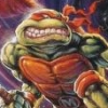 Teenage Mutant Ninja Turtles IV: Turtles in Time artwork