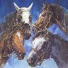 Thoroughbred Breeder II (XSX) game cover art