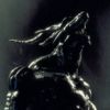 Beast Wrestler (XSX) game cover art