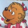 The Berenstain Bears' Camping Adventure (XSX) game cover art