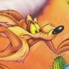 Desert Demolition Starring Road Runner and Wile E. Coyote (XSX) game cover art