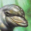 Ecco: The Tides of Time (XSX) game cover art