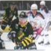 Elitserien 96 artwork