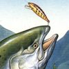 King Salmon: The Big Catch artwork