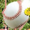 R.B.I. Baseball '93 artwork