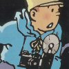 Tintin au Tibet (XSX) game cover art