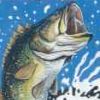 TNN Outdoors Bass Tournament '96 (XSX) game cover art