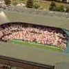 Wimbledon Championship Tennis artwork