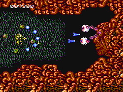 Abadox screenshot