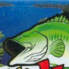 Black Bass (XSX) game cover art