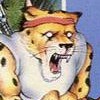 Cheetahmen II (NES)