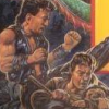 Double Dragon III: The Sacred Stones (NES)