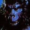 King Kong 2: Ikari no Megaton Punch (XSX) game cover art