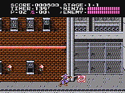 Ninja Gaiden screenshot