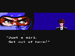 Ninja Gaiden screenshot
