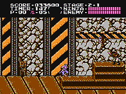 Ninja Gaiden screenshot
