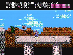 Ninja Gaiden screenshot